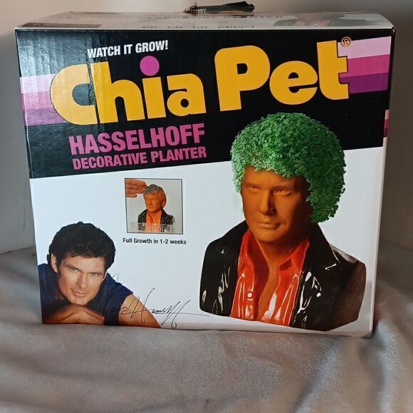 Chia Pet David Hasselhoff Decorative Planter - Picture 4 of 4